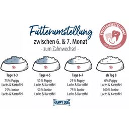 Trockenfutter Sensible Puppy Huhn, Lachs und Kartoffel - 4 kg