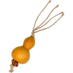 Aumüller Tandverzorgend Speelgoed - Pompoen - 1 stuk