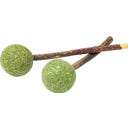 Aumüller Tandverzorgend Speelgoed - Lolly's