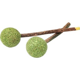 Aumüller Tandverzorgend Speelgoed - Lolly's - 1 set