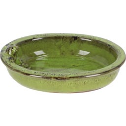 Esschert Design Frog Bird Bath, Oval - 1 item
