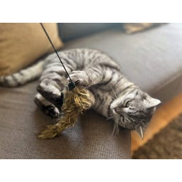 Aumüller Woozle Katzenangel mit Wuschel-Frettchen - 1 Stk