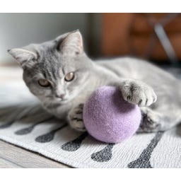 Aumüller Natürliche Wollfilzkugel Katzenspielzeug - 1 Stk