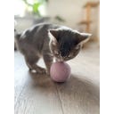 Aumüller Natürliche Wollfilzkugel Katzenspielzeug - 1 Stk