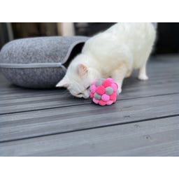 Aumüller Pink Plush Katzenspielkugel - 1 Stk