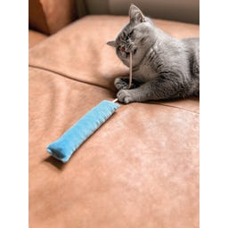 Cordkissen Sticks mit Kordel 2er-Set Katzenspielkissen - 1 Set