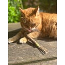 Aumüller Mix-Rolle 2er-Set Dentalspielzeug - 1 Set