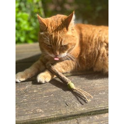 Aumüller Mix-Rolle 2er-Set Dentalspielzeug - 1 Set