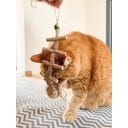 Aumüller Tandverzorgend Speelgoed - Duizendpoot - 1 stuk