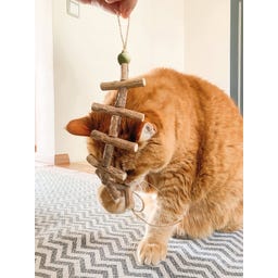 Aumüller Tandverzorgend Speelgoed - Duizendpoot - 1 stuk