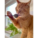 Aumüller Tandverzorgend Speelgoed - Lolly's - 1 set