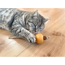 Aumüller Tandverzorgend Speelgoed - Pompoen - 1 stuk