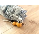 Aumüller Tandverzorgend Speelgoed - Pompoen - 1 stuk