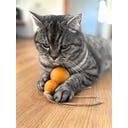 Aumüller Tandverzorgend Speelgoed - Pompoen - 1 stuk