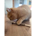 Tandverzorgend Speelgoed - Silver Vine Rol - 1 stuk