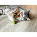 Tandverzorgend Speelgoed  - Vogeltje, Set van 2 - 1 set