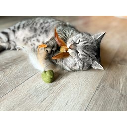 Tandverzorgend Speelgoed  - Vogeltje, Set van 2 - 1 set