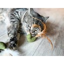 Tandverzorgend Speelgoed  - Vogeltje, Set van 2 - 1 set