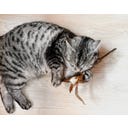 Tandverzorgend Speelgoed - Silver Vine Speeltje - 1 stuk