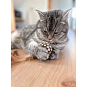 Aumüller Kugel Dentalspielzeug - 1 Stk