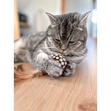 Aum&uuml;ller Gioco Dentale per Gatti - Palla