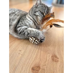 Aumüller Kugel Dentalspielzeug - 1 Stk