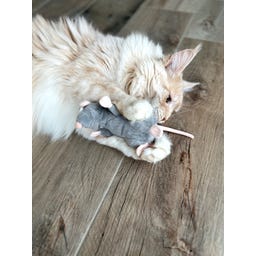 Aumüller Ratte Cedric Katzenspielkissen - 1 Stk