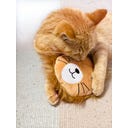 Aumüller Leo Löwe Katzenspielkissen - 1 Stk