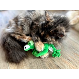 Aumüller Chamäleon Olly Katzenspielkissen - 1 Stk