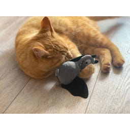 Aumüller Frido Fledermaus Katzenspielkissen - 1 Stk