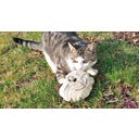 Baldi-Willy Katzenspielkissen, Katzenkopf - 1 Stk