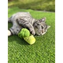 Aumüller Brokkoli Katzenspielkissen - 1 Stk