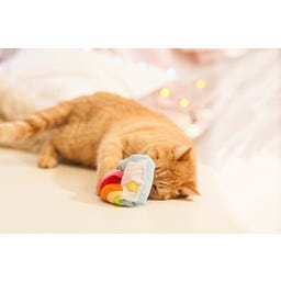 Aumüller Regenbogen Herz Katzenspielkissen - 1 Stk