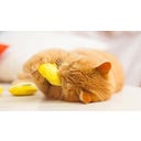 Aumüller Emojis 2er-Set Katzenspielkissen - 1 Set