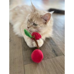 Aumüller Kuschelkirschen Katzenspielkissen - 1 Stk