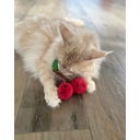 Aumüller Kuschelkirschen Katzenspielkissen - 1 Stk