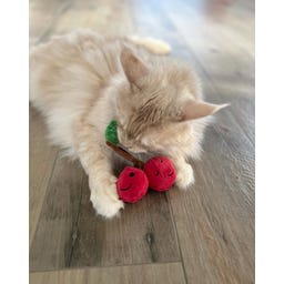 Aumüller Kuschelkirschen Katzenspielkissen - 1 Stk