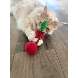 Aumüller Kuschelkirschen Katzenspielkissen - 1 Stk