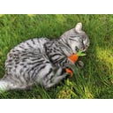 Aumüller Karotte Katzenspielkissen - 1 Stk