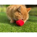 Gioco per Gatti - Fragole, Set di 2 Pezzi - 1 set