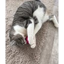 Gioco per Gatti - Palline di Feltro di Lana Naturale, Set di 4 - 1 set