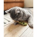 Gioco Dentale per Gatti - Pesciolini con Piume, Set di 2 Pezzi - 1 set