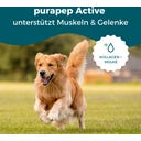 purapep Active+