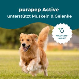 purapep Active+