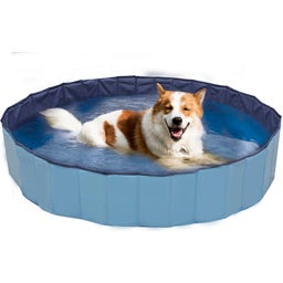 Croci Piscina per Cani Explorer - 160x30 cm