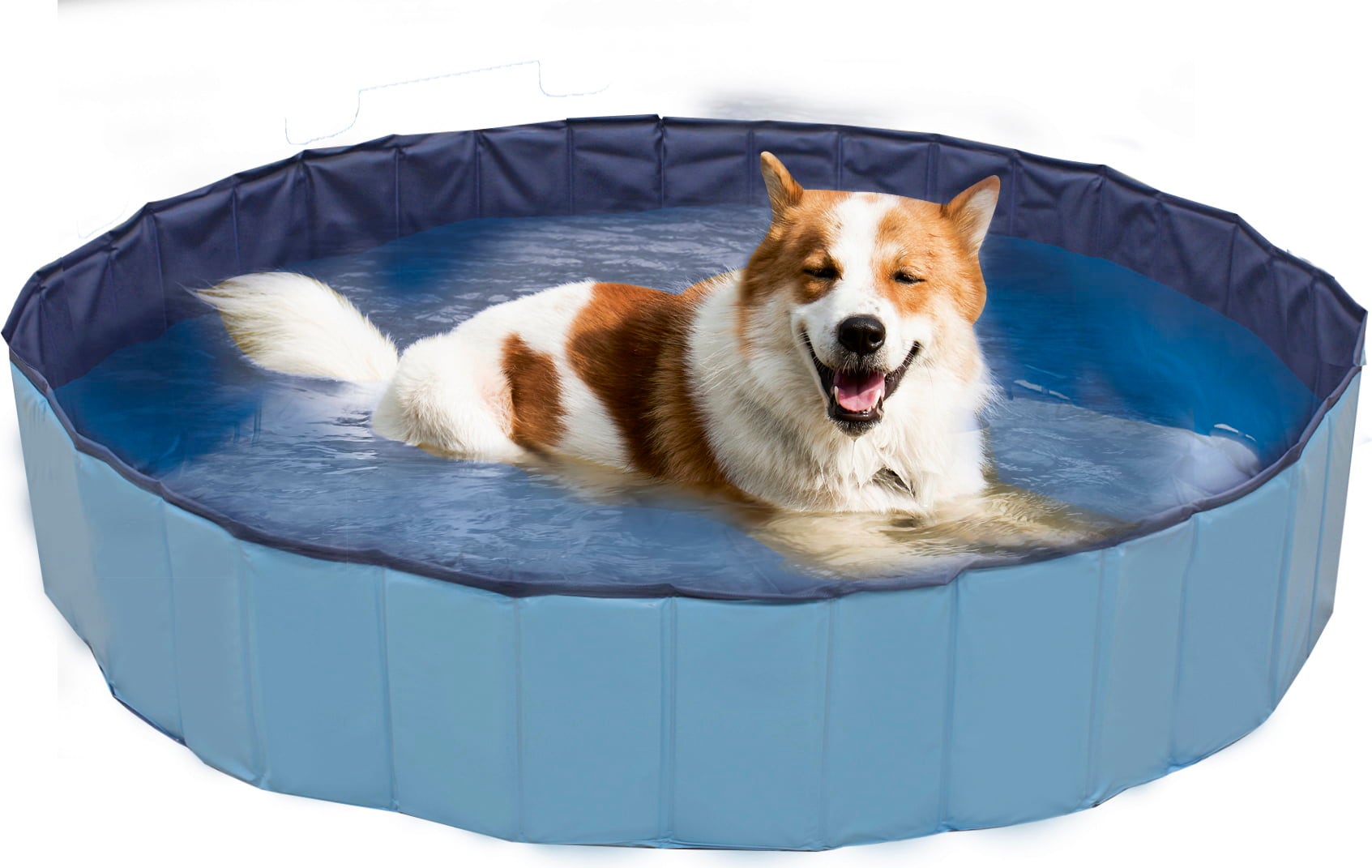 Croci Hunde Pool Explorer