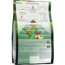 Adult Veggie - Erbse mit Spinat & Sanddorn - 10 kg