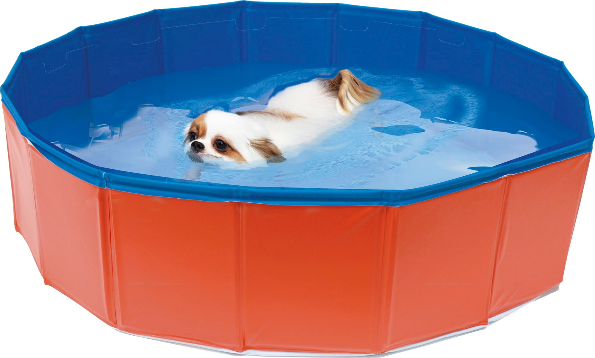Croci Hunde Pool - 80x20 cm
