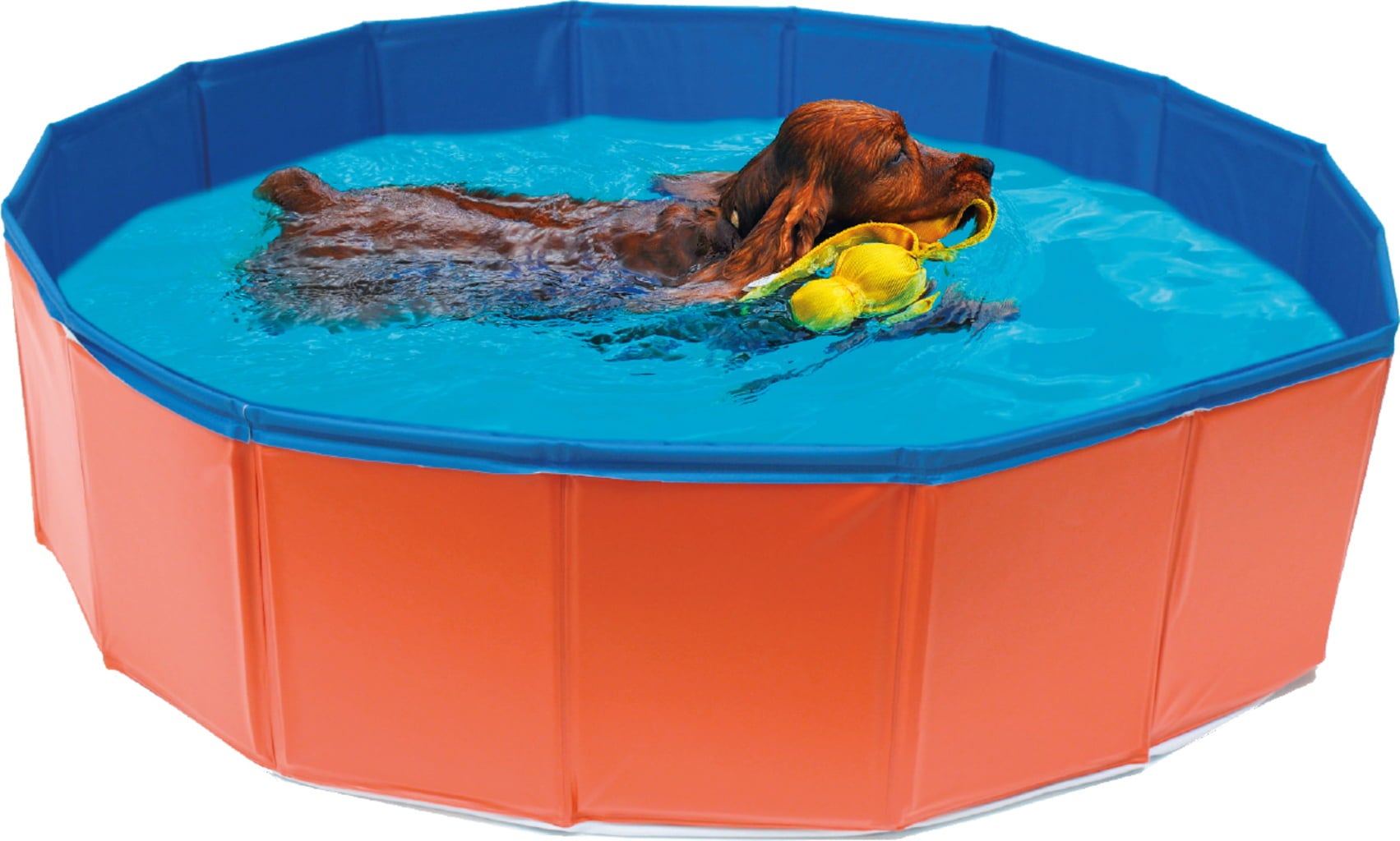Croci Hunde Pool - 80x20 cm