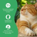 purapep Comfort - 100 g